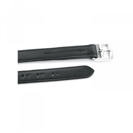 BIOTHANE STIRRUP STRAPS
