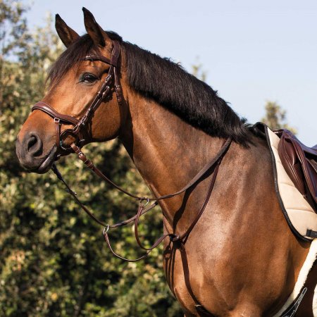 LEATHER RUNNING MARTINGALE