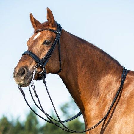 BRIGLIA DRESSAGE DOUBLE ROUND BROWBAND