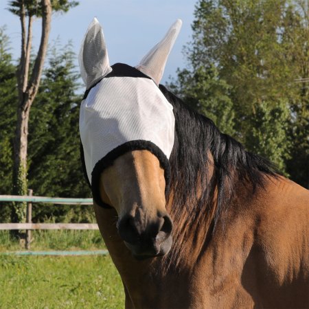 TITANIUM MASK COME BEST WITH EARS