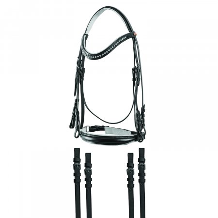 Briglia in cuoio liscio dressage