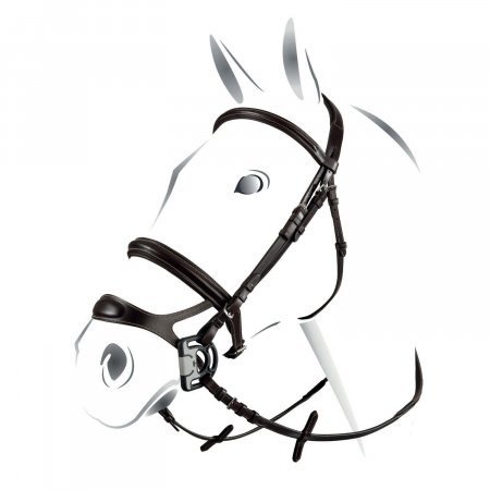 DERBY BRIDLE WITH  GOLD CLINCHER AND RUBBER REINS