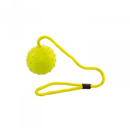 FRISBEE COTONE C/SUONO