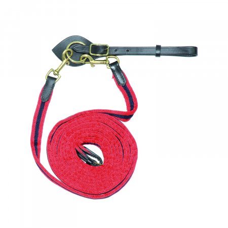REDINI ELASTICHE MODELLO CHAMPION  168 cm