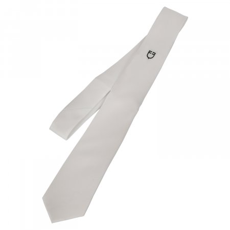 CRAVATTA UOMO CON LOGO