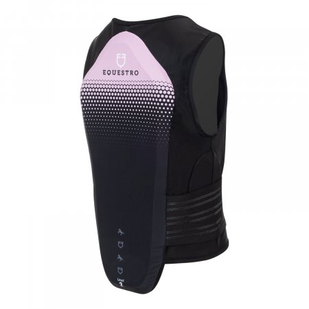 BACK PROTECTOR