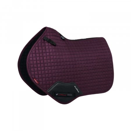 SOTTOSELLA DRESSAGE CON CORDONE