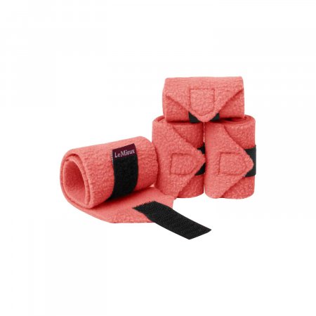 TOY PONY VOGUE HEADCOLLAR CHILLI