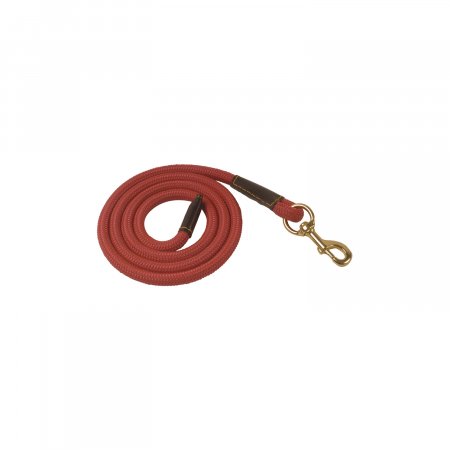 LEATHER LEAD WITH CHAIN