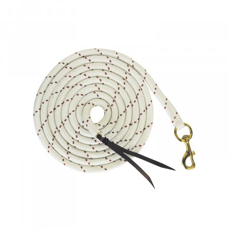 Lead rope with resistant satin snap hook