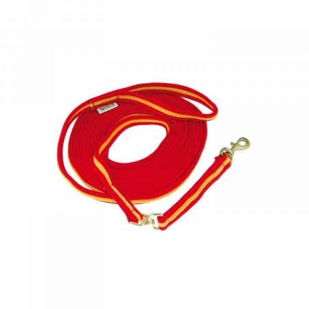 Lead rope with resistant satin snap hook