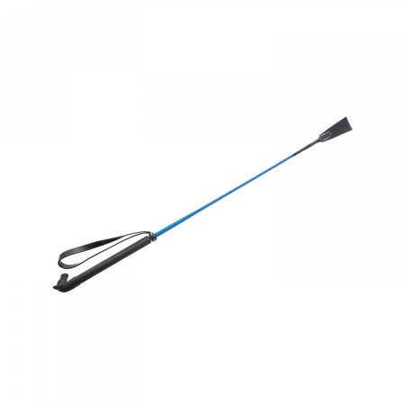 SET OF 10 PCS BICOLOR WHIPS