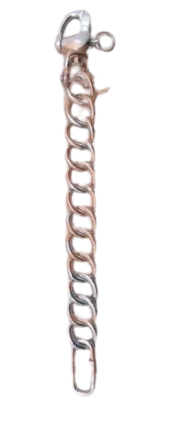 REAR LAMP FOR CARRIAGE