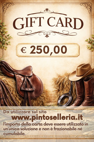 GIFT CARD da &euro; 300,00