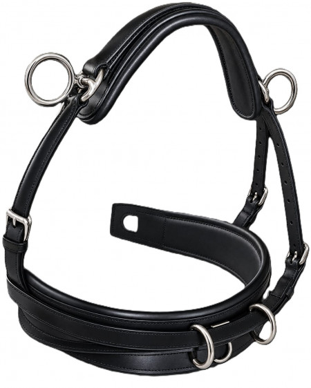 ANELLO TONDO CON FIBBIA CONWAY