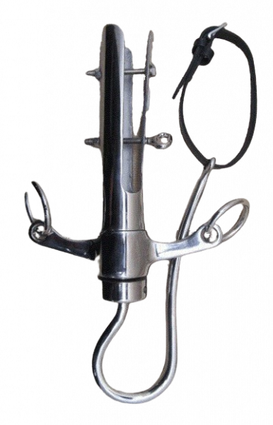 REAR LAMP FOR CARRIAGE