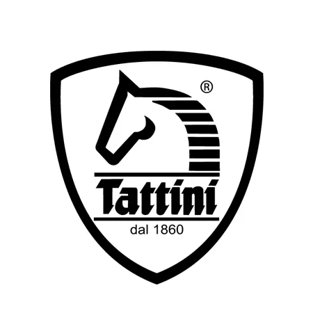 TATTINI